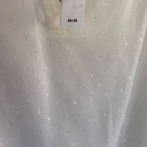 NWT Banana, Republic, ivory, cream, chiffon, cap sleeve top size S - Picture 3 of 5